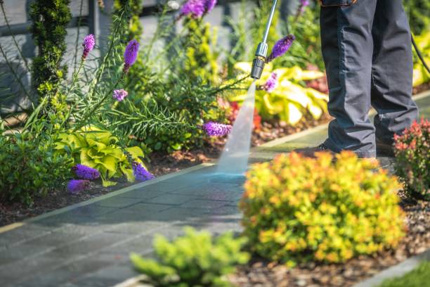 Pre-Holiday Cleaning in Victory Gardens, NJ